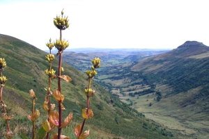 Vallée de la Santoire (randonnées)