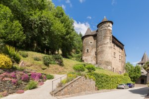 Château de Vieillevie 