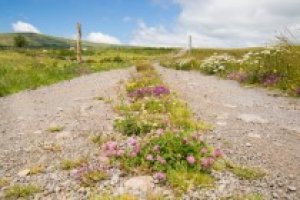 Le Cantal vu par Paul Bélard