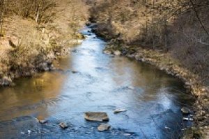 Le Cantal vu par Daniel Brugès