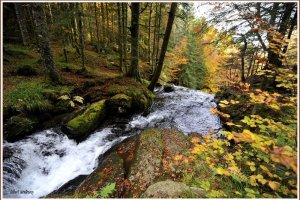 Impressions d'automne dans le Cantal par Montourcy Gilbert