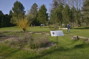 La Plantelière, l'arboretum d'Arpajon sur Cère