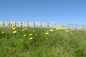 Le Cantal, véritable bouffée d'air pur
