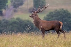 Auvergne Phot'Haut s'est relooké