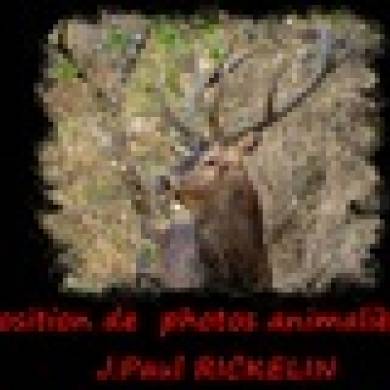 Exposition photos Jean Paul Rickelin