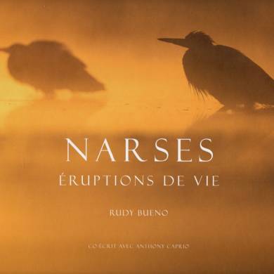 Narses, éruptions de vie